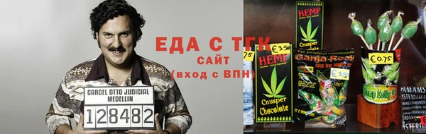 шишки Богородицк