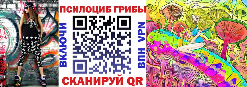 Псилоцибиновые грибы прущие грибы  сайты даркнета официальный сайт  Гвардейск  купить наркотики цена 